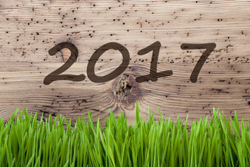 Bright Wooden Background, Gras, Text 2017