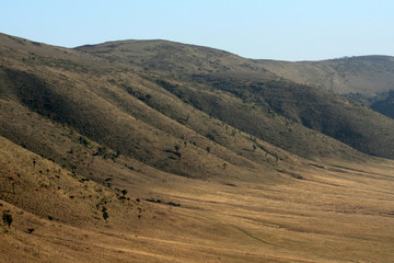 Fototapeta na wymiar Ngorongoro Crater, Tanzania, Africa