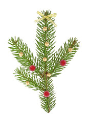 Fir tree branch isolated on a white background