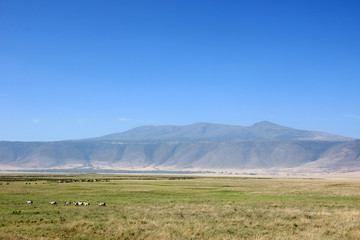 Obraz premium Ngorongoro Crater, Tanzania, Africa