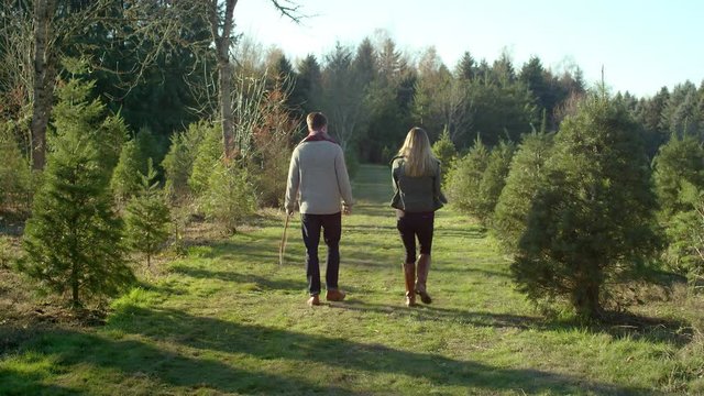 A young family walking through a Christmas tree farm, man carrying a saw