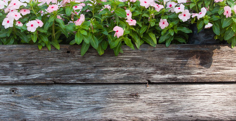 Wooden board and flowers