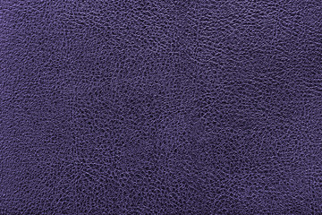 Deep blue leather texture or leather background. Leather sheet for making leather bag, leather jacket, furniture and other. Abstract leather pattern for design with copy space for text or image.