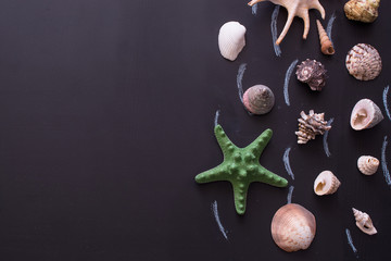 Obraz na płótnie Canvas Sea shells And Starfish From Right Border Of Frame.