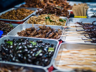 Fried insects on the streets of Khao San Road in Bangkok, Thailand