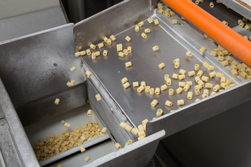 Fabbrica di produzione di pasta corta ditalini