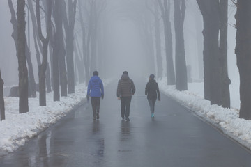 Gorky Park, Kharkov. People in foggy winter park