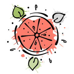 Vector fruits illustration. Orange with leaves, decorative elements isolated on the white background. Hand drawn contour lines and strokes. Doodle style, graphic vector illustration
