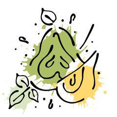 Vector fruits illustration. Pear with leaves, decorative elements isolated on the white background. Hand drawn contour lines and strokes. Doodle style, graphic vector illustration