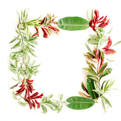 red and green petals and leaf frame on white background. flat lay.