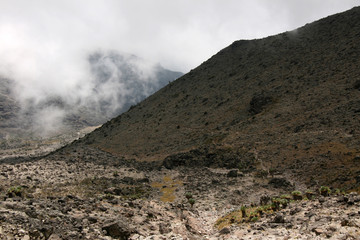 Mt Kilimanjaro, Tanzania, Africa