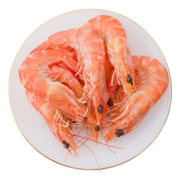 Cooked Prawns or Tiger Shrimps in White Plate