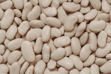 white beans background