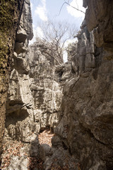 bizarre limestone rock formations - Tsingy,  reserve Ankarana, Madagascar