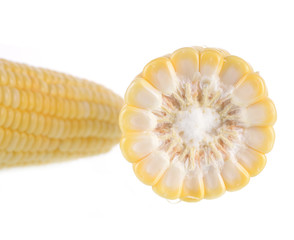 Sweet corn isolated on white background