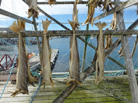 「Trockenfisch」の画像 631 件の Stock 写真、ベクターおよびビデオ Adobe Stock