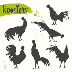 Silhouette of the cock in different poses.. Sketch style. Vector illustration with black and white roosters. Brush drawings.