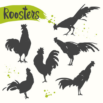 Silhouette of the cock in different poses.. Sketch style. Vector illustration with black and white roosters. Brush drawings.