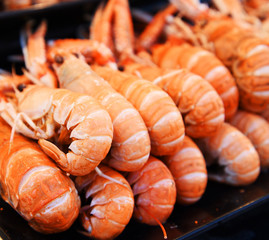 Whole lobsters on ice