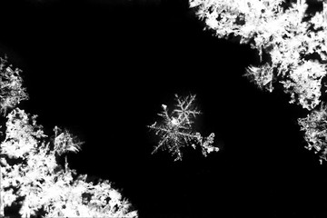 Snowflake Abstract christmas xmas background.