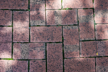 Brick TEXTURE