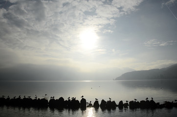 Lake of Annecy in france