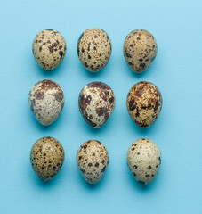 Collection of quail eggs on the blue background.