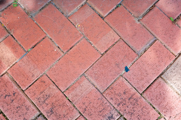 Brick TEXTURE