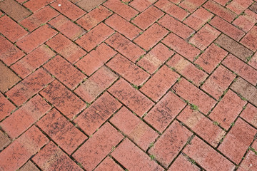 Brick TEXTURE