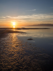 Delta del Ebro en Tarragona, vacaciones en diciembre de 2016 OLYMPUS CAMERA DIGITAL
