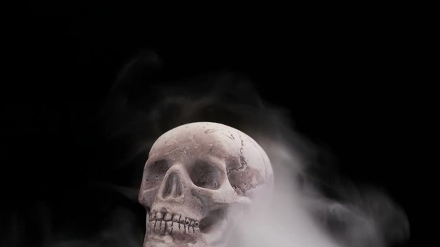 Human skull in loop rotation with white smoke