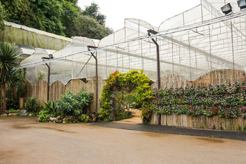 greenhouse garden at Ang Khang Royal Agricultural Station, Thailand