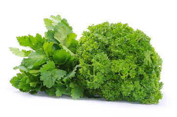 Fototapeta premium parsley