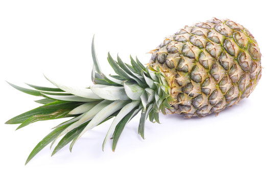  pineapple