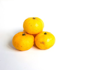 Group of mandarin orange (Citrus reticulata) on white background