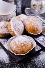 Obraz na płótnie Canvas Muffins in powdered sugar