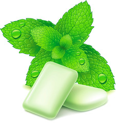 chewing gum with mint leaves