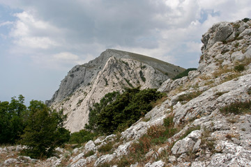 The summer landscape with limestone rocks and cliffs in Crimean Mountains.