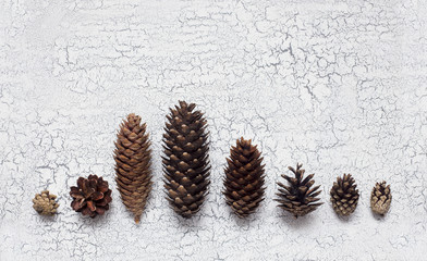 Composition of pine and fir cones. Christmas decoration on the table.