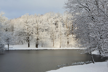 Scenic sunny landscape in the winter morning. Frozen lake and snow covered forest.