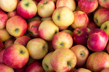 Äpfel.