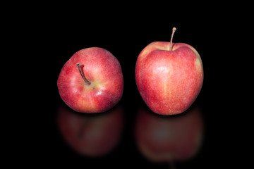 Polish apple with natural organic cultivation. Free of chemicals and pesticides on pure black background