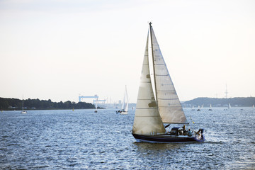 Obraz premium Segel boot am wind