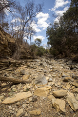 dry river bed during drought, Ankarana reservation, Madagascar