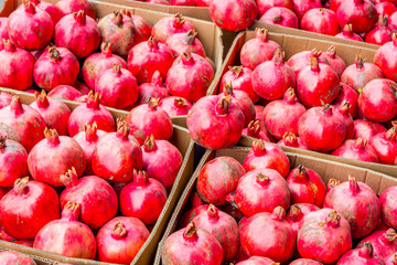 Ripe pomegranates in boxes