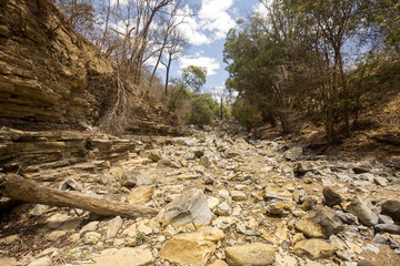 dry river bed during drought, Ankarana reservation, Madagascar