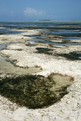 Matemwe Beach, Zanzibar