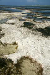 Matemwe Beach, Zanzibar