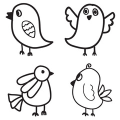 Set of Bird hand drawn. vector illustration design.