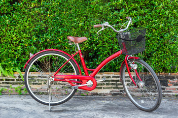 Fototapeta na wymiar Red bicycle over leaf wall background, vintage style